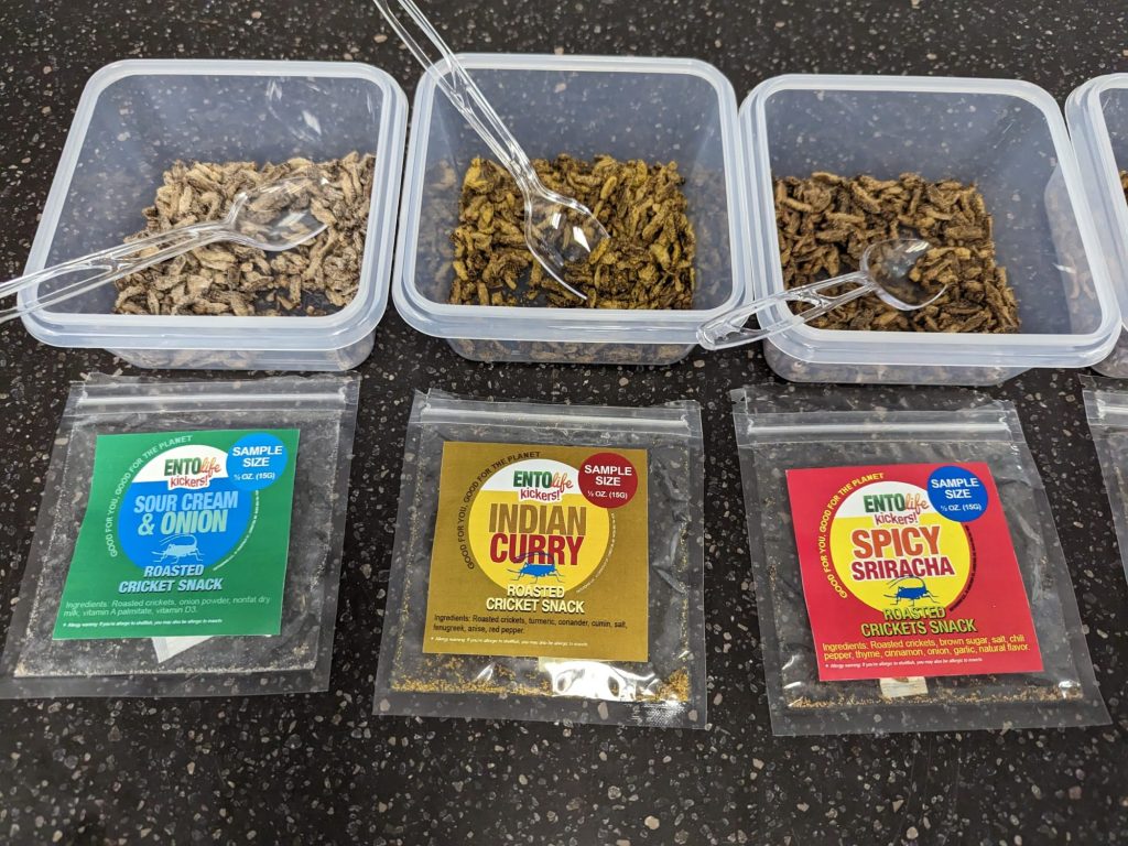  Entomophagy